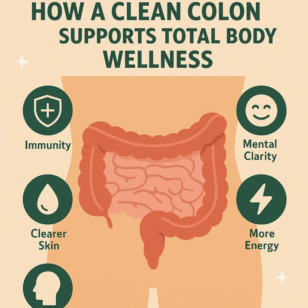 colon cleanse benefits gurgaon The Gut-Health Connection: How a Clean ColonSupports Total Body Wellness